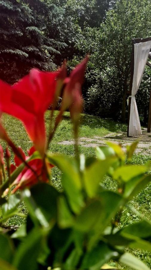 Bed and breakfast Silenzio E Buio Calizzano