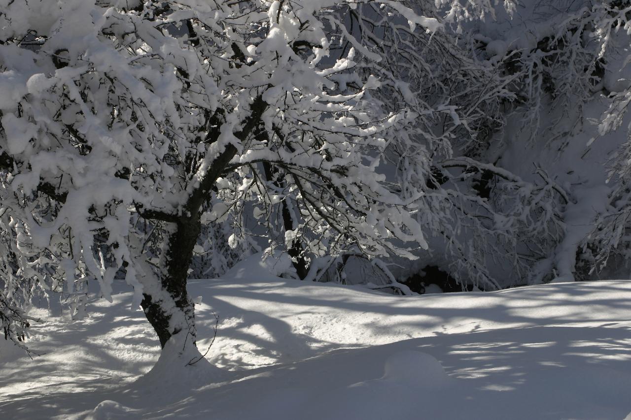 Silenzio E Buio Bed and breakfast Calizzano